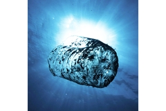Image plastic pollution